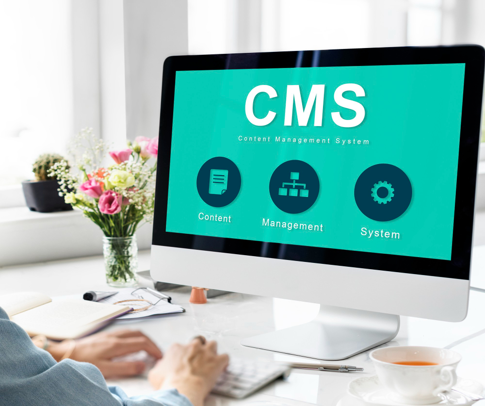 Custom CMS Development Services